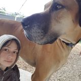 Pet Sitting Offered in London