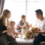 Looking for mature, reliable, trustworthy babysitter on occasion in Maple Ridge.