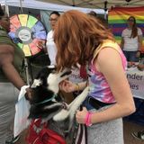 Available: Knowledgeable Pet Sitter/Walker in Riverview