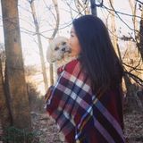 Pet Sitter/Dog Walker avalible in Lancaster, Pennsylvania