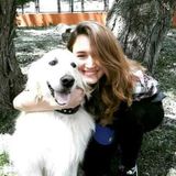 Experienced petsitter available right now