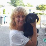 Port Charlotte Dog Walker Interviewing For Work in Florida