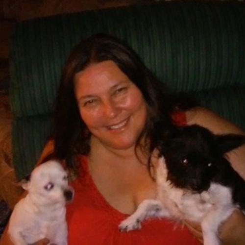 House Sitter Provider Mary C's Profile Picture