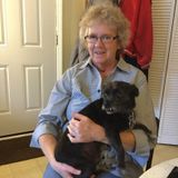 Excellent Pet Care Provided in My Home