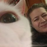 Gina's Family Pet Sitting-Fully Insured and Bonded and Pet CPR Certified through NAPPS