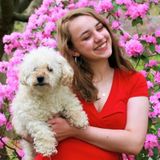 Flexible Dog Sitter in Warrenton