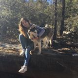 Child Care and Pet Care Provider.