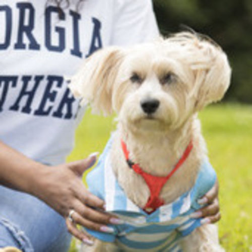 Pet Care Job Kimberley R's Profile Picture