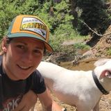 House Sitter available for the West Valley