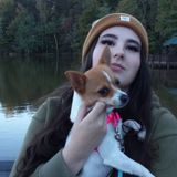 Hardworking Petsitter in Greensboro