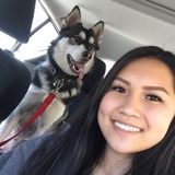 Qualified and Dependable Animal Caregiver- Let Me Love Your Pets!