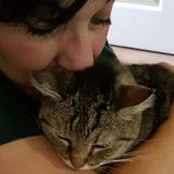 I am a Certified Feline Trainer and Behavior Specialist - I also do Cat sitting. Bonded & Insured