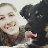 College Intern looking to care for your furry friends