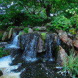 I am a new photographer working towards becoming better and expanding my abilities by giving everybody their ideal shots.