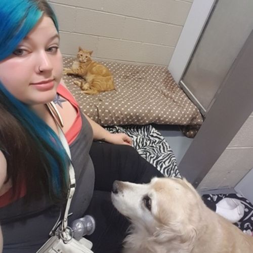 Pet Care Provider Brittiny B's Profile Picture