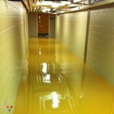 Painter in Greensburg, Indiana