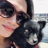 Qualified Pet Sitter/Dog Walker in Sherman Oaks, California