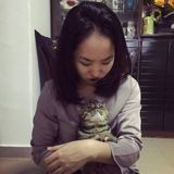 Cat-lover available for cat-sitting immediately