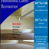 High Quality Steam Carpet Cleaning