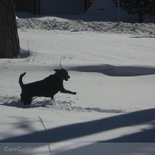 Pet Care Provider Jacob D's Profile Picture