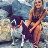 Available For an Animal Lover Job in Long Beach