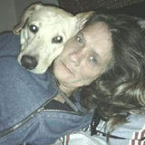 Hello My Name Is Denise ,Good Cat and Dog Sitter in Sanford.