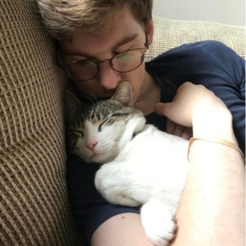 Pet Care Provider Ryan K's Profile Picture