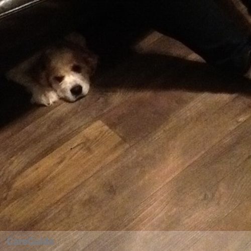 Pet Care Job Thelma H's Profile Picture