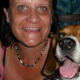 Fur-Nanny fun and dependable