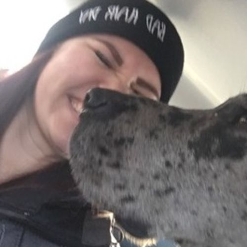 Pet Care Provider Shayna T's Profile Picture
