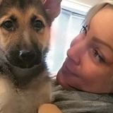 Hi Neighbors! My name is Kristie and would love to be a part of your pets life with my dog walking, pet sitting services!
