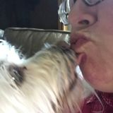 Looking For Nashville House/Pet Sitter Opportunity