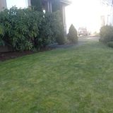 Hi I Am A Family Man Just Looking To Make Some Money On The Side I Can Landscape And Love Animals Thanks