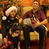 Looking for a loving caregiver (family preferred) to care for a sweet, smart & loving boxer boy for temporarily 4-5 months