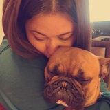 Pet Caregiver