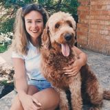 Stoney Creek, Ontario Animal Caregiver