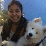 Pet Service Provider Searching for Being Hired in NYC - North Bergen- West New York- Weehawken-Hoboken