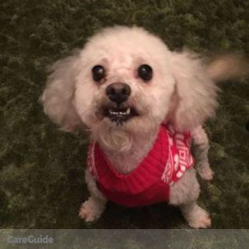 Pet Care Job Stacy Bishop's Profile Picture