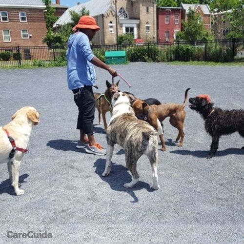 Pet Care Provider Christina B's Profile Picture