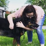 Looking For Winchester Dog Walker Jobs