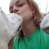 House and Pet Sitter Available Immediately, flexible for Holiday travel