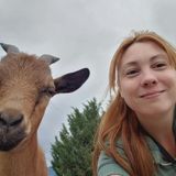 Available For Phoenix Animal Lover Jobs