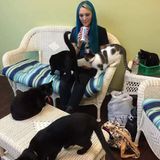 Honest Pet Sitter in Carrollton, Texas