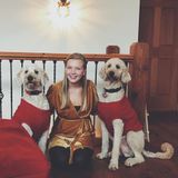 Reliable Care Giver of Both Pets and Dogs