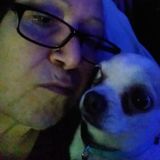 Available For Allen Park Cat Sitter, Michigan Jobs