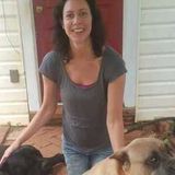 Pet and home care in the Asheville area