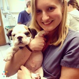 Loving veterinary technician and in-home pet sitter!