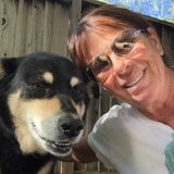 Interested In Brentwood /AntiochDog Walker Opportunity