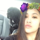 Reliable, Caring and Clean House Sitter