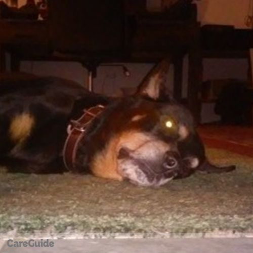 Pet Care Provider Sierra R's Profile Picture